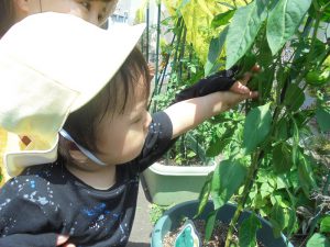 先生と一緒にせーのっ