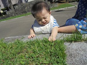赤ちゃんも草に興味深々! あれ?抜けないぞ…?