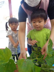 「これな~に?」 大きな葉っぱに ちょっとびっくり・・・