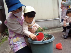 次はトマトを植えるよ!