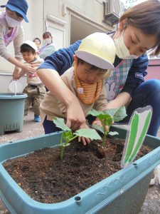 よ~し!植えるぞ~!!