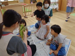 ふ~ん!こうやってむくのかぁ