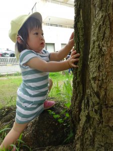 大きな木の幹にアリさん発見！ 『ねえねえ、どこ行くの～？』