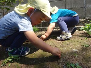 山本記念公園には虫さんが いっぱいいるんだよね～ 『ダンゴムシさんみーつけた！』